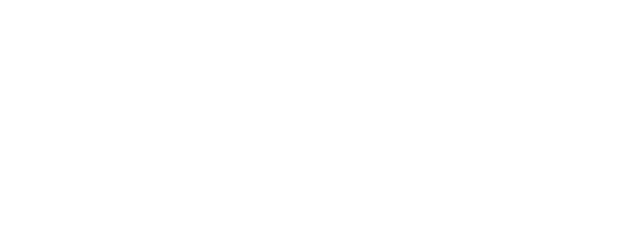 1. Paiement par Virement